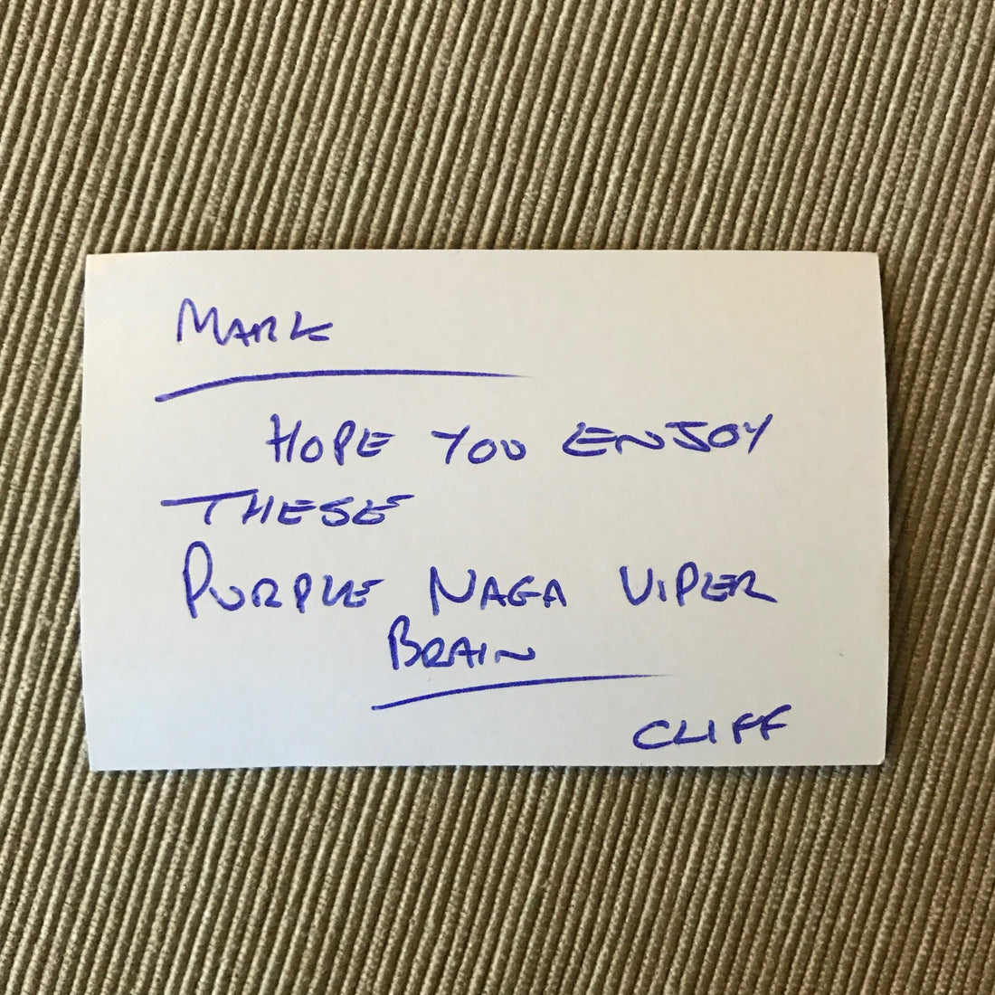 Purple Naga Viper Brain